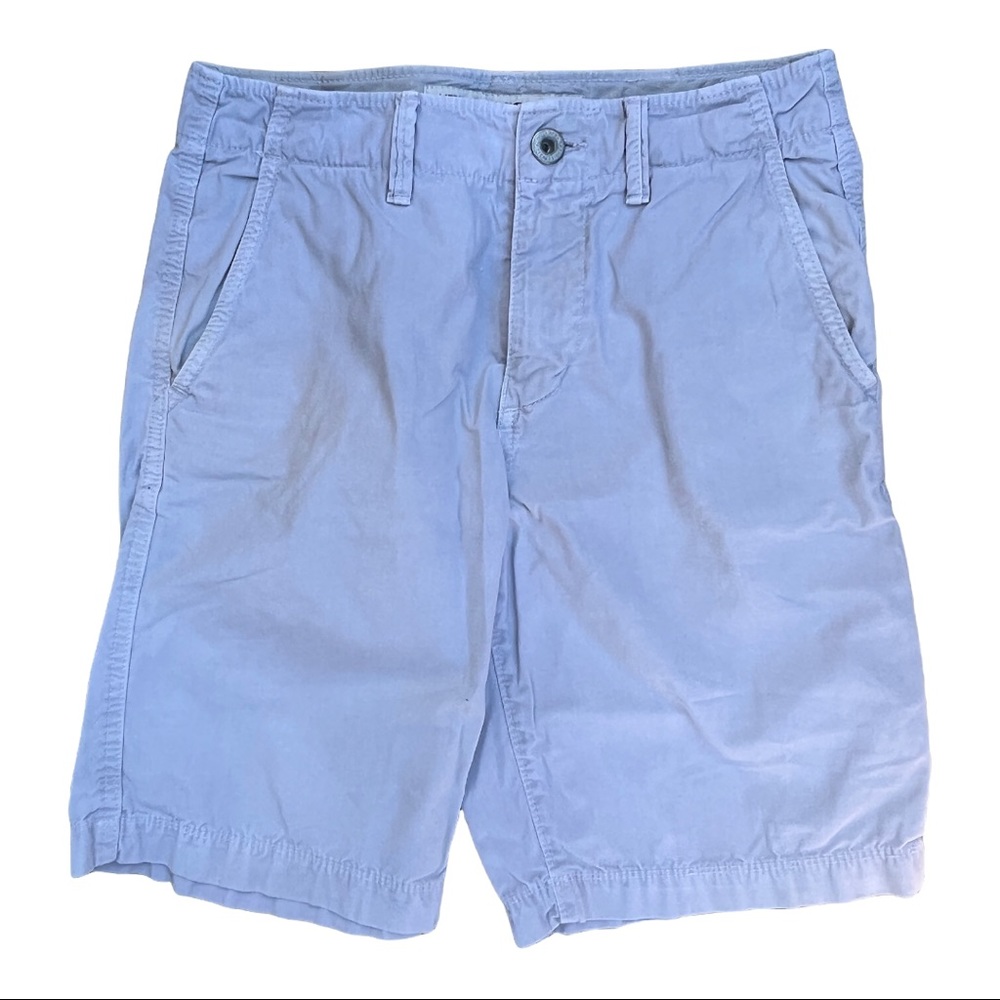 American Eagle Aerie Mens Gray Shorts Sz 28 & 30